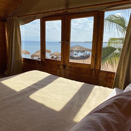 Nuweiba Lodge Eksteriør billede