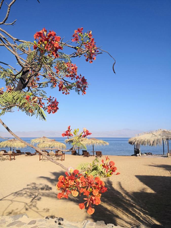 Nuweiba Lodge Eksteriør billede